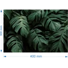 Kép 2/2 - Vászonkép - Philodendron