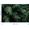 Kép 2/2 - Vászonkép - Philodendron