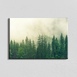 Vászonkép - ködös erdőVászonkép - fenyőerdő - 40x60 cm