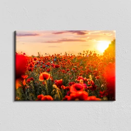 Vászonkép - pipacsmező - 40x60 cm