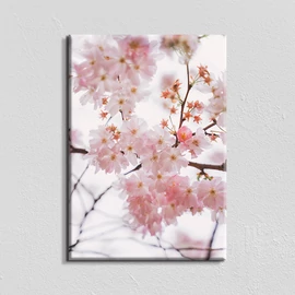 Vászonkép - cseresznyevirág - 40x60 cm