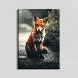 Vászonkép - róka - 40x60 cm
